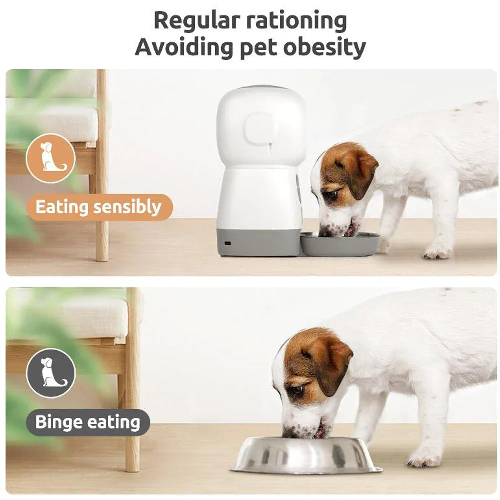 Automatic Pet Feeder | Automatic Dog Feeder | Trendi-Den